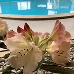 Domaine Des Hetres Longraye