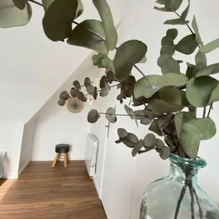 Domaine Des Hetres Longraye