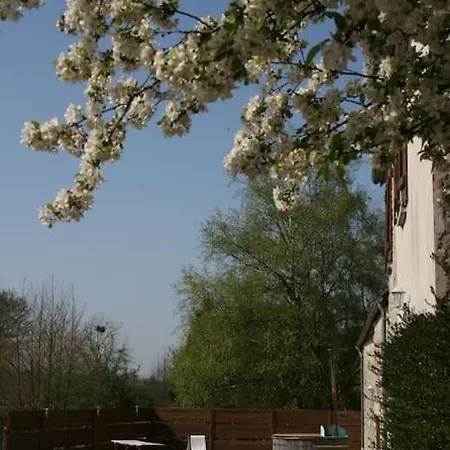 Ferienhaus Domaine Des Hetres *