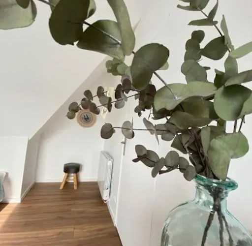 Domaine Des Hêtres Longraye