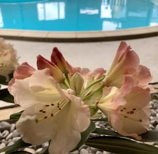 Domaine Des Hetres Longraye