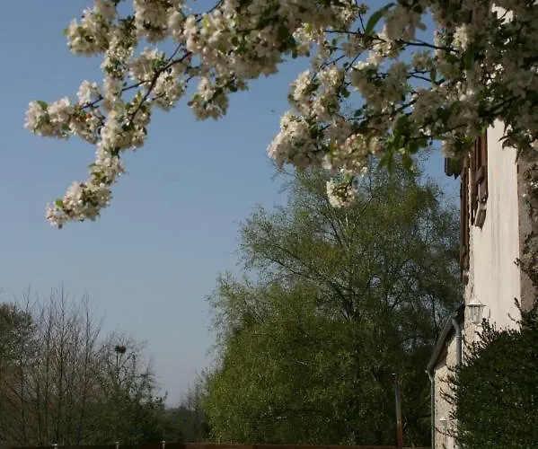 بيت للعطل Domaine Des Hetres *